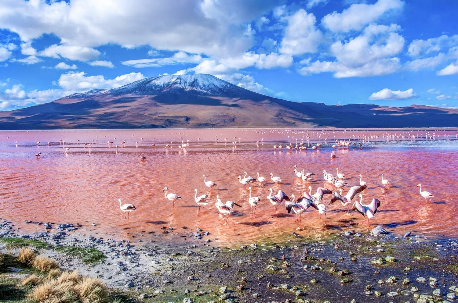 the-atacama-desert-one-of-the-driest-places-on-earth