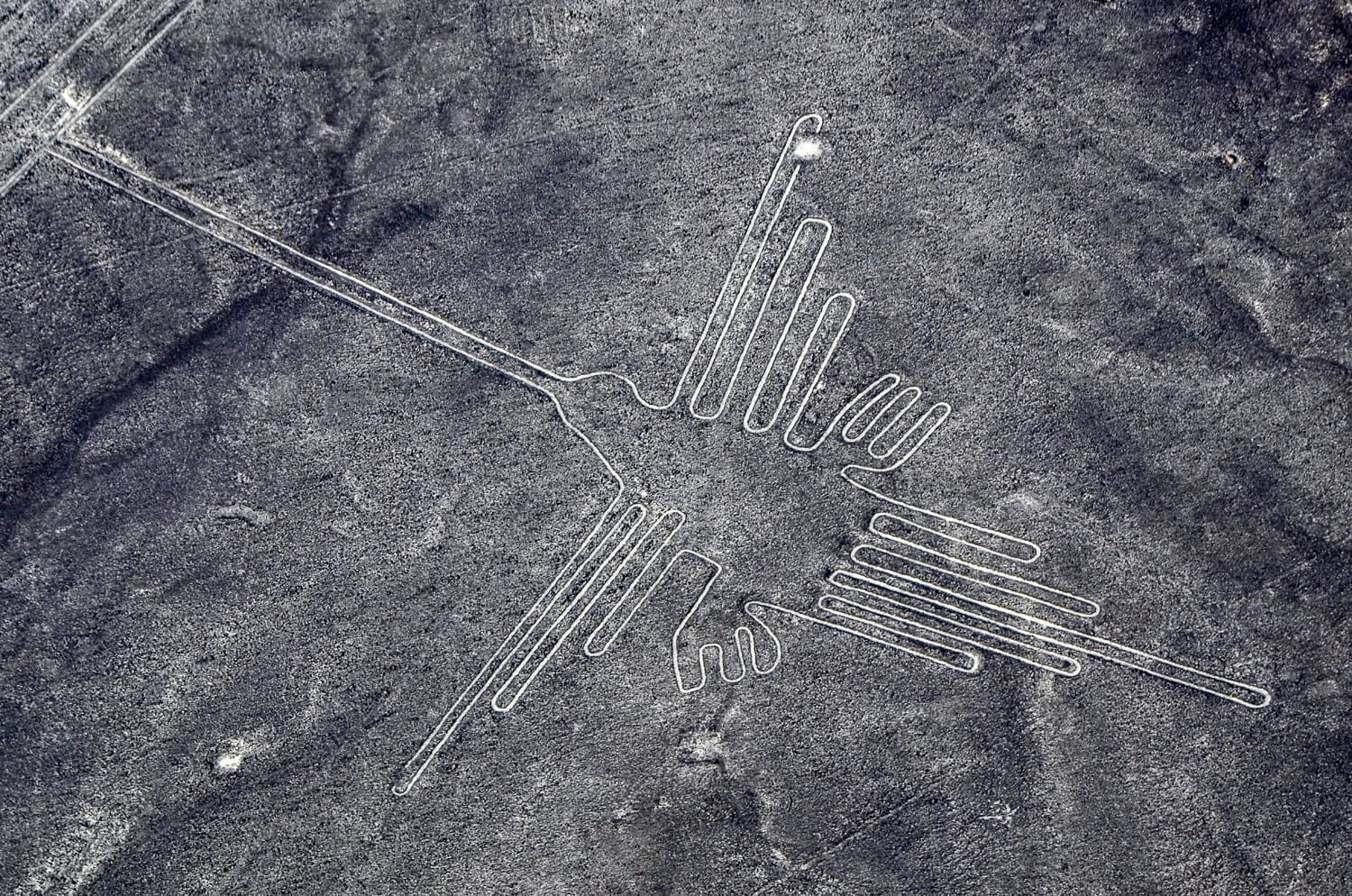 Peru-Vacation-Travel-Nazca-Hummingbird A hummingbird carving in Peru's Nazca lines, photographed on a helicopter tour