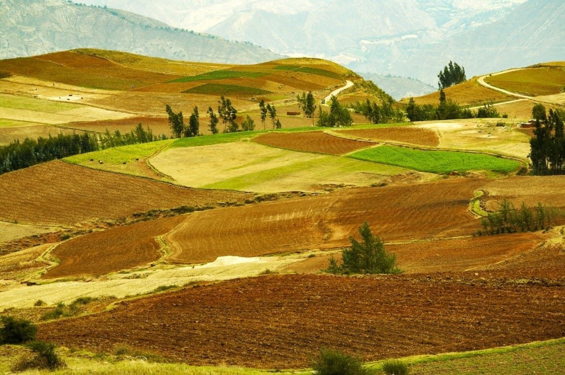Spring-field-Peru Colorful spring fields in Andes,Peru