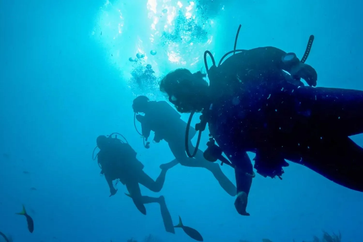 Belize Placencia Diving