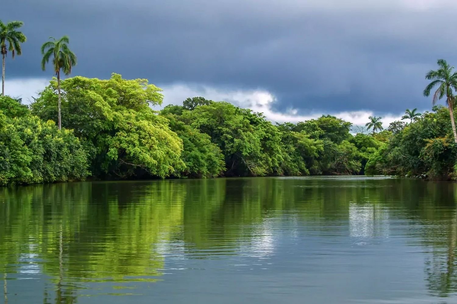 Northern Belize River