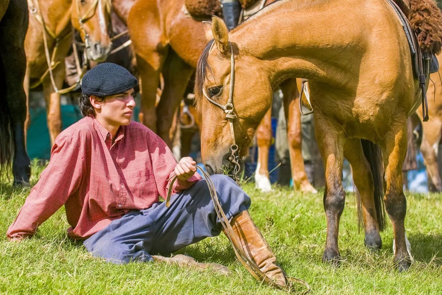 The Pampas Gaucho