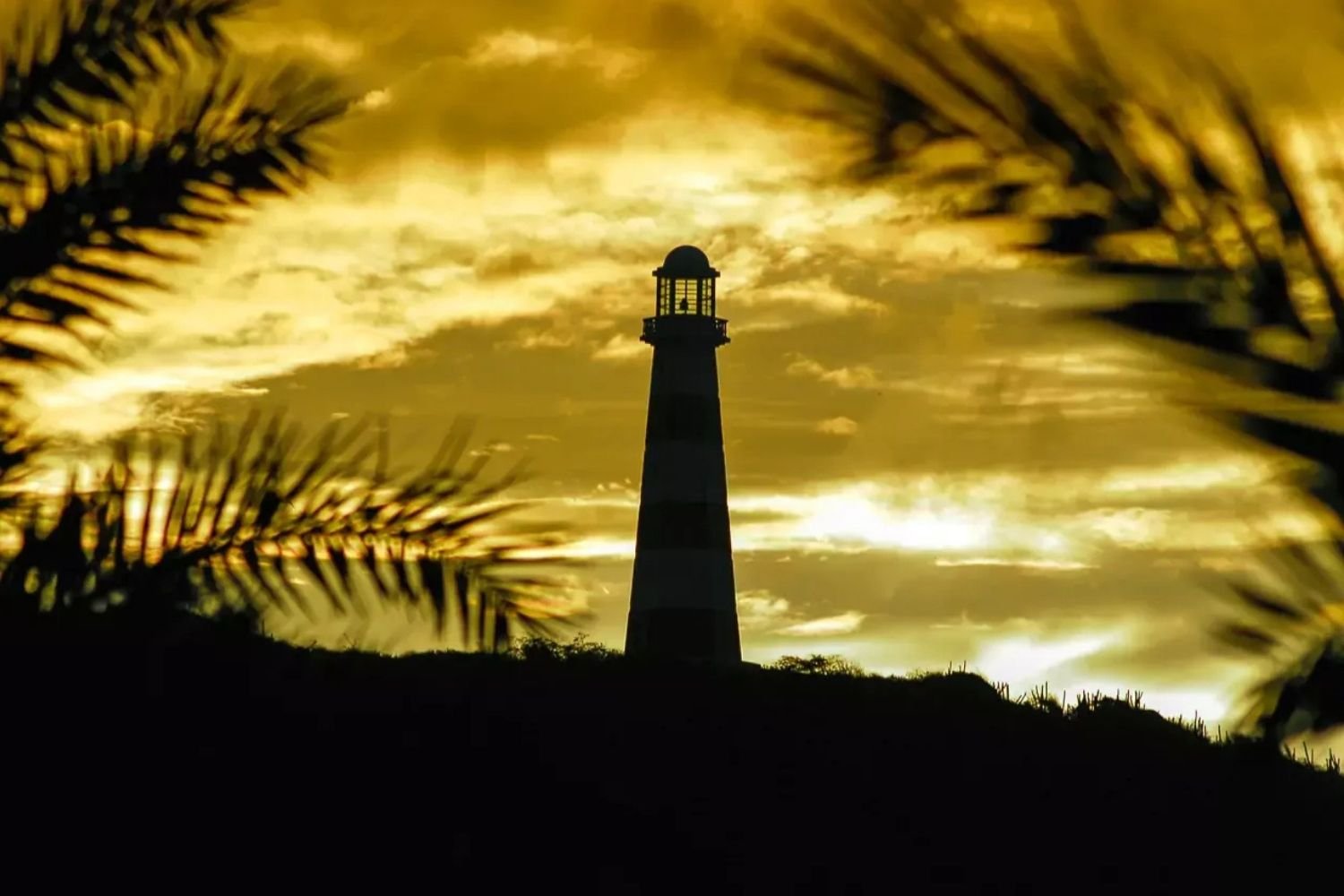 Eastern Shore La Paloma Lighthouse