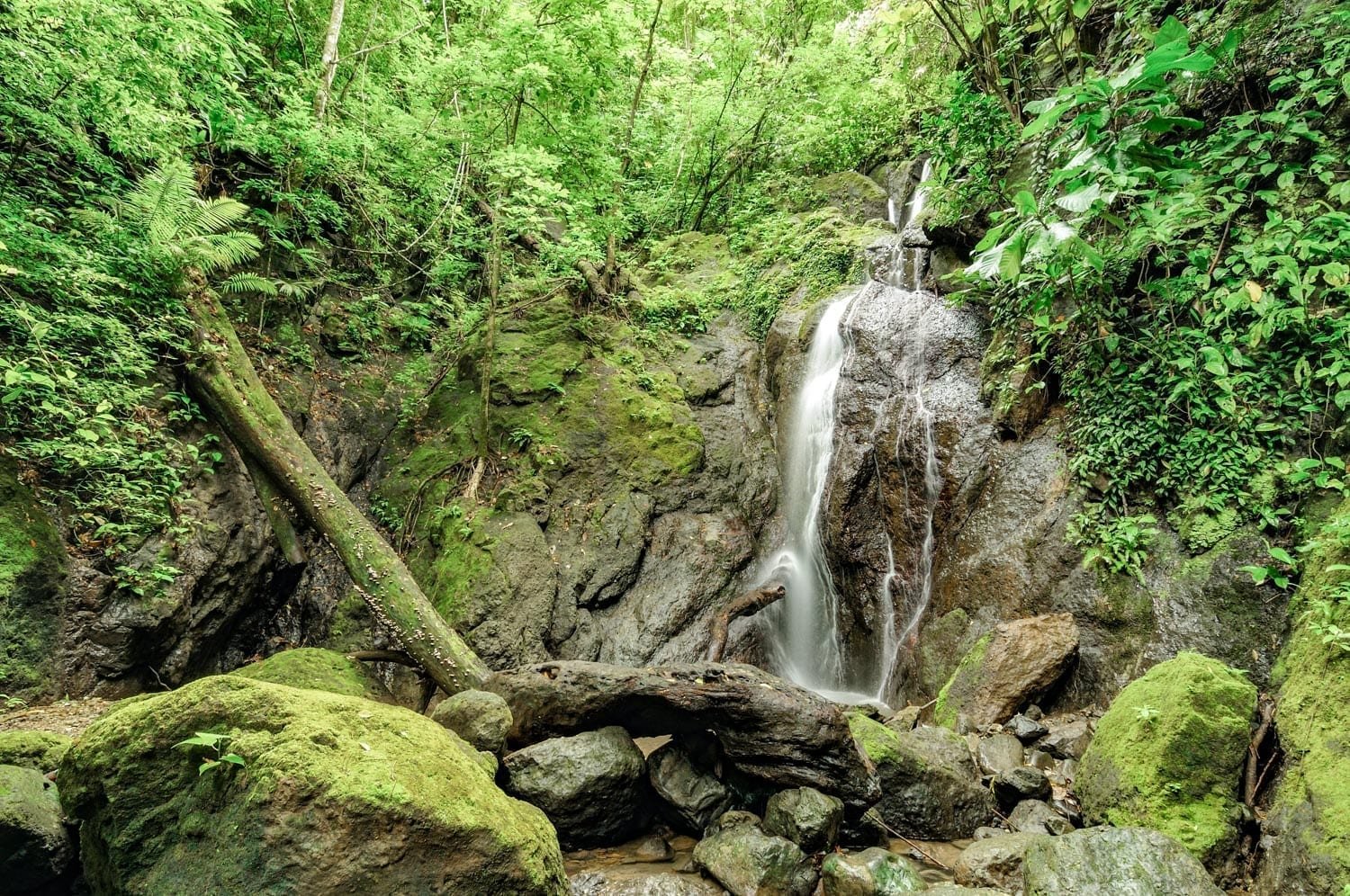 Darien-Panama-4-Landed-Travel-Private-Travel Waterfall surrounded by dense green forest in Darien National Park in Panama