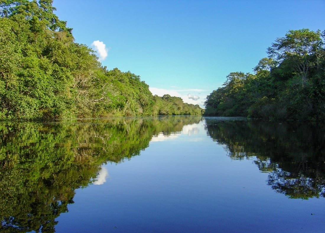 Is The Amazon Rainforest In Lima Peru