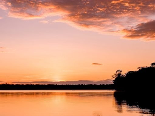 Sandoval Lake Peru Amazon | Landed Travel