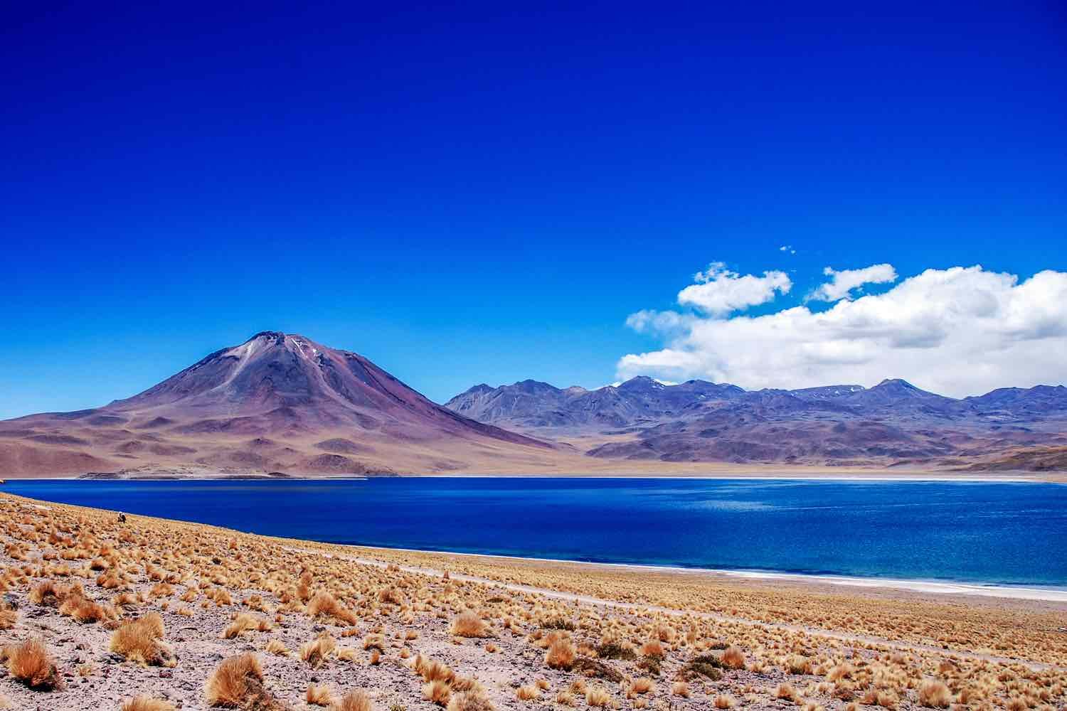 Laguna-Miscanti-North-Chile Shot of deep blue Laguna Miscanti in Chile, with the Minques Volcano in the background