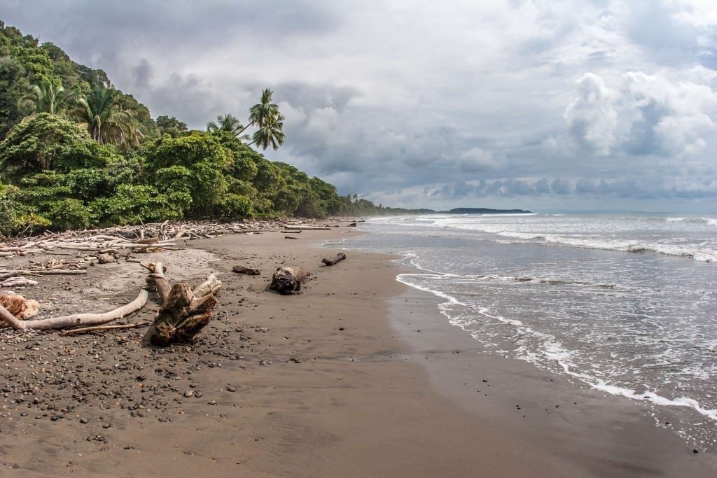 Costa-Rica-Custom-Private-Travel-Design-Dominical-Beach Brown sugar Dominical Beach in Costa Rica, backed by lush green forest