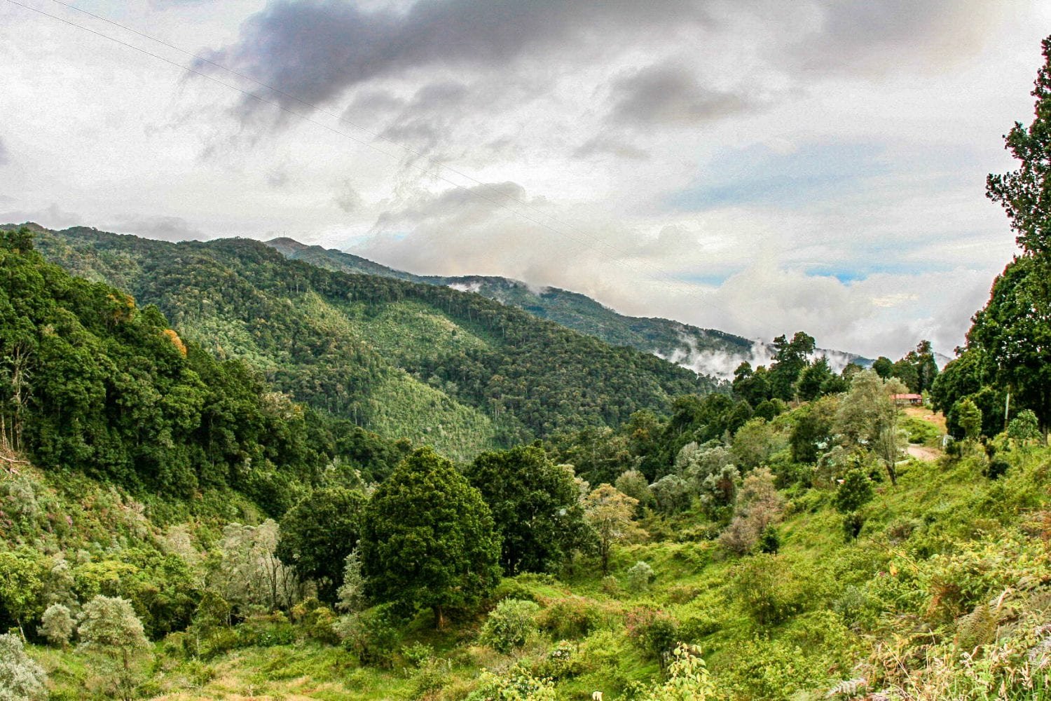 Costa-Rica-Custom-Private-Travel-Design-San-Gerardo-de-Dota-2 Wide shot of lush green hills of San Gerardo de Dota National Park in Costa Rica