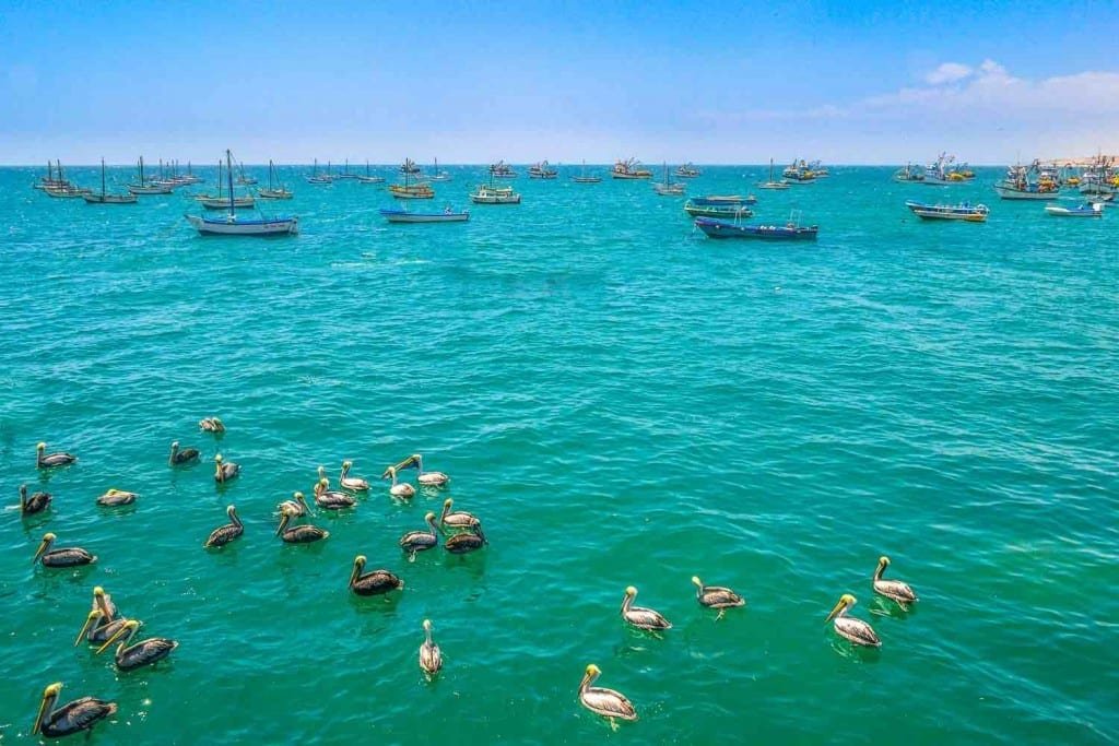 Custom-Travel-Vacation-Travel-Guayaquil-Water Turquoise waters off the coast of Guayaquil, Ecuador