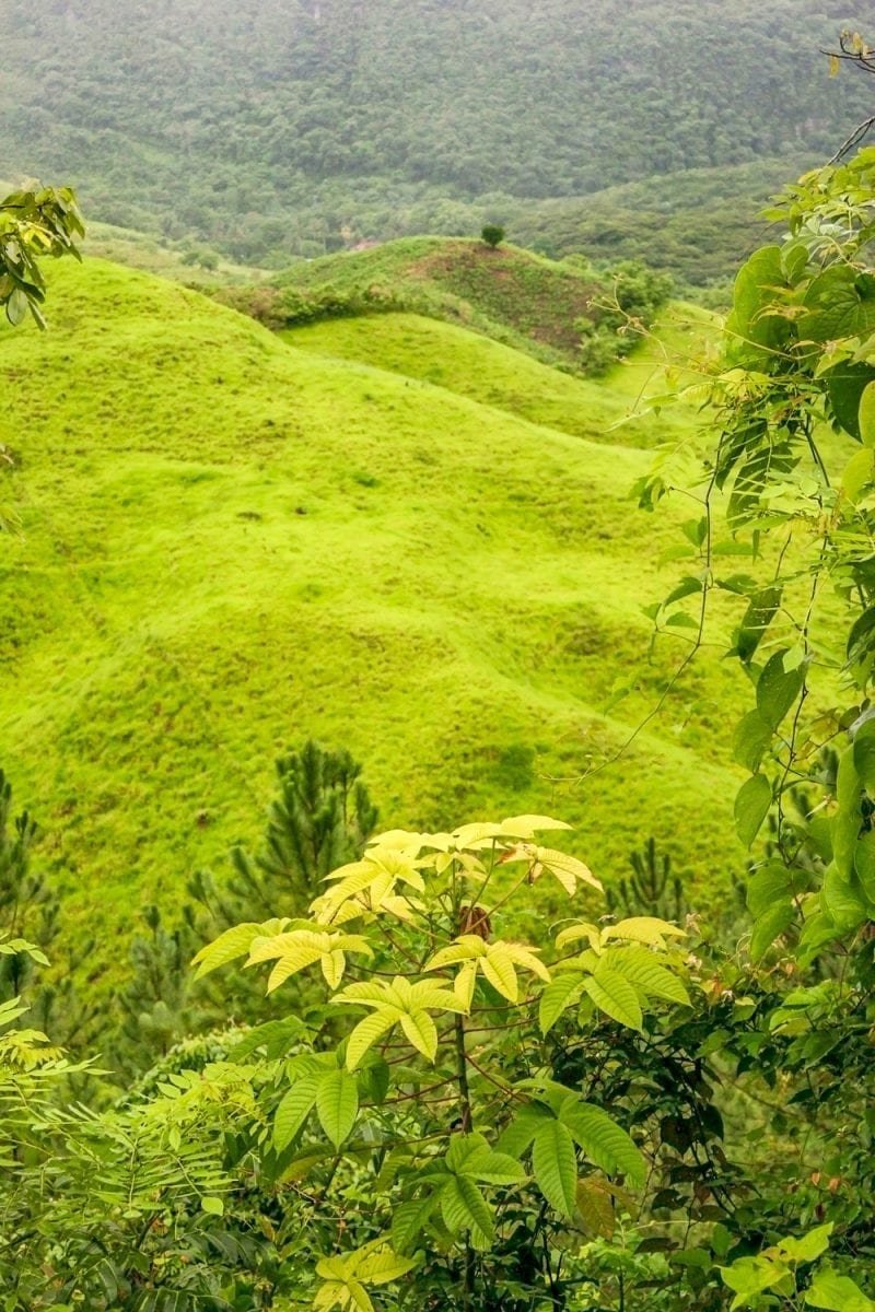 Guatemala-Private-Custom-Travel-Design-Semuc-Champey-4 Lush green hills of Semuc Champey in Guatemala