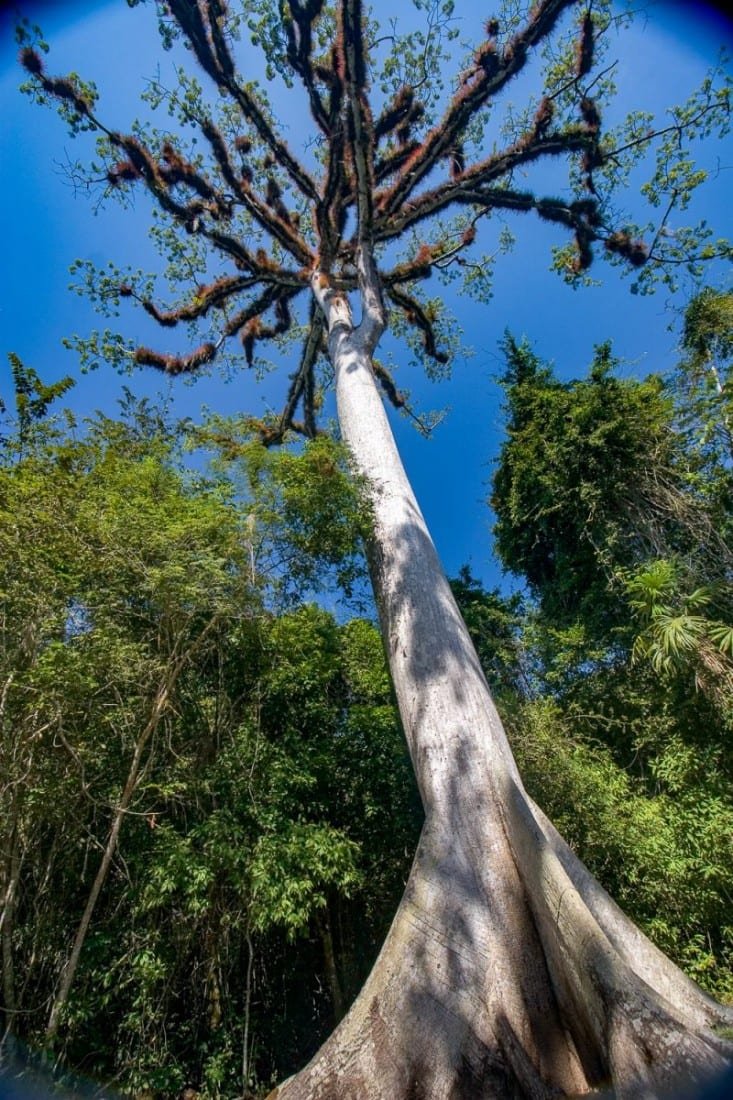 Guatemala Landed Travel