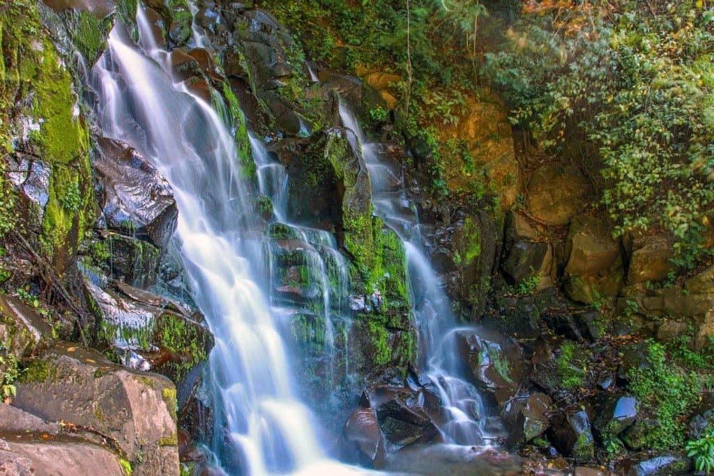 Landed-Travel-Private-Travel-Boquete-San-Ramon-Waterfall-Panama San Ramon Waterfall in Panama Flowing down brown rocky cliff covered in green vegetation