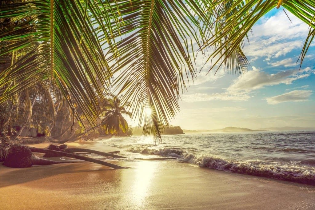 Landed-Travel-Private-Travel-Caribbean-2-Costa-Rica Pristine golden sand beach, shaded by a large palm in the South Caribbean region of Costa Rica