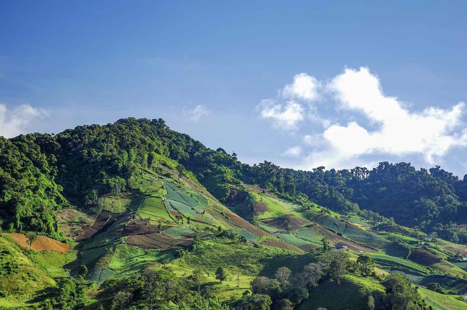 Landed-Travel-Private-Travel-Chiriqui-Highlands-Green-Panama Lush green hills of the Chiriqui Highlands near Boquete, Panama