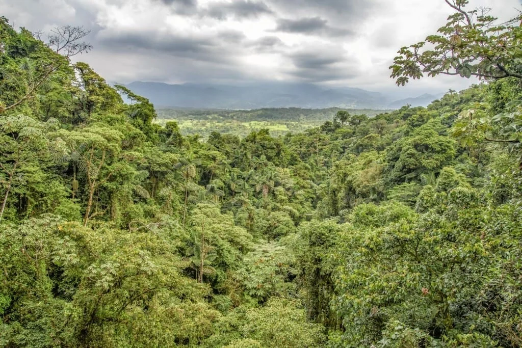 monteverde-cloud-forest-landed-travel