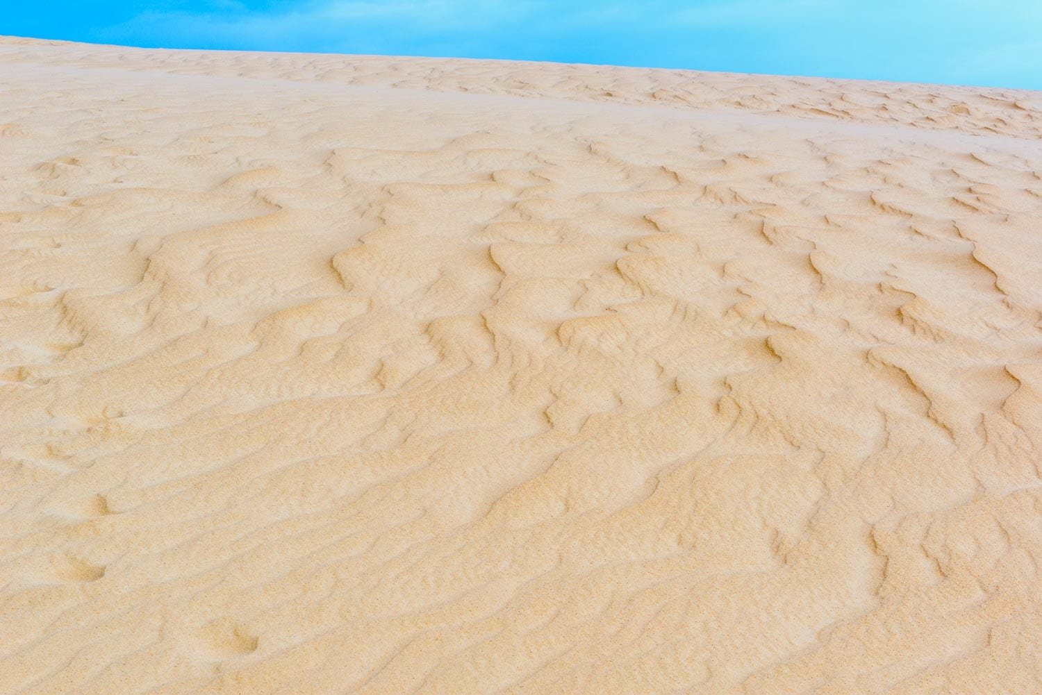 Landed-Travel-Private-Travel-Lomas-de-Arena-Santa-Cruz-Bolivia Golden sand dune in Lomas de Arena, outside Santa Cruz Bolivia