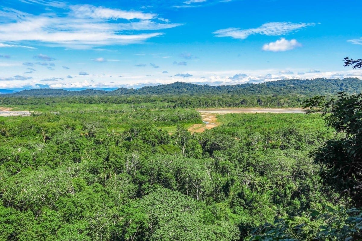 Landed-Travel-Private-Travel-River-Wide-Madidi-Bolivia Wide river mouth surrounded by lush green trees in madidi national park, Bolivia