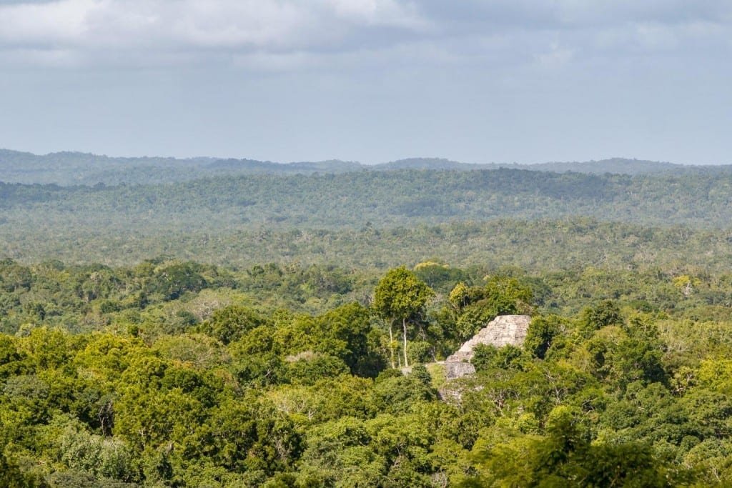 Maya-Cities-Guatemala-Landed-Travel-Private-Travel Ancient Maya ruin site in thick green forest in Guatemala