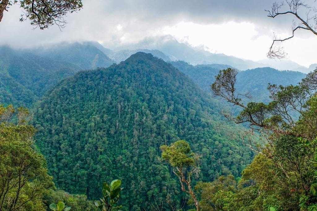 National-Parks-Honduras-2-Landed-Travel-Private-Travel Steep, densely-forested hills of Pico Bonito National Park in Honduras