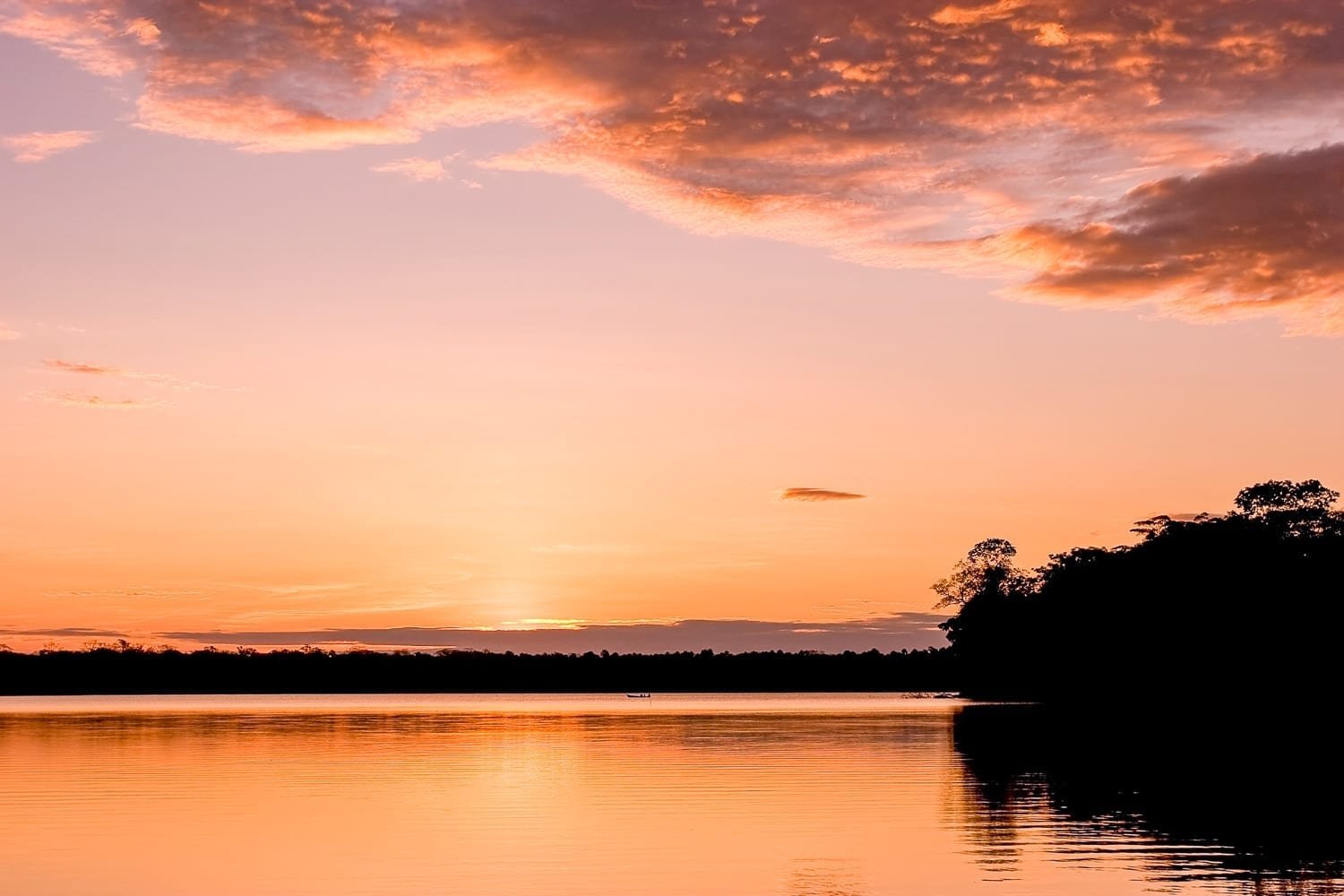 Peru-Custom-Private-Travel-Amazon-Sandoval-Lake Peru-Custom-Private-Travel-Amazon-Sandoval-Lake