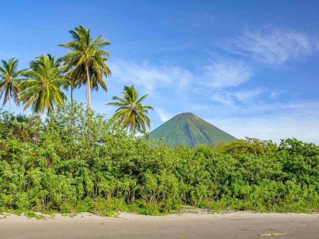 Private-Custom-Experiential-Travel-Nicaragua-Lake-Ometepe-Palms A photo of the Concepción volcano in the distance over a lush green tropical forest, photographed on a family vacation on Ometepe Island