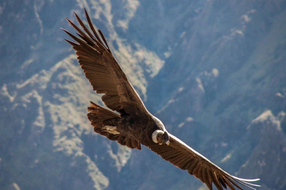 North of Quito - Landed Travel