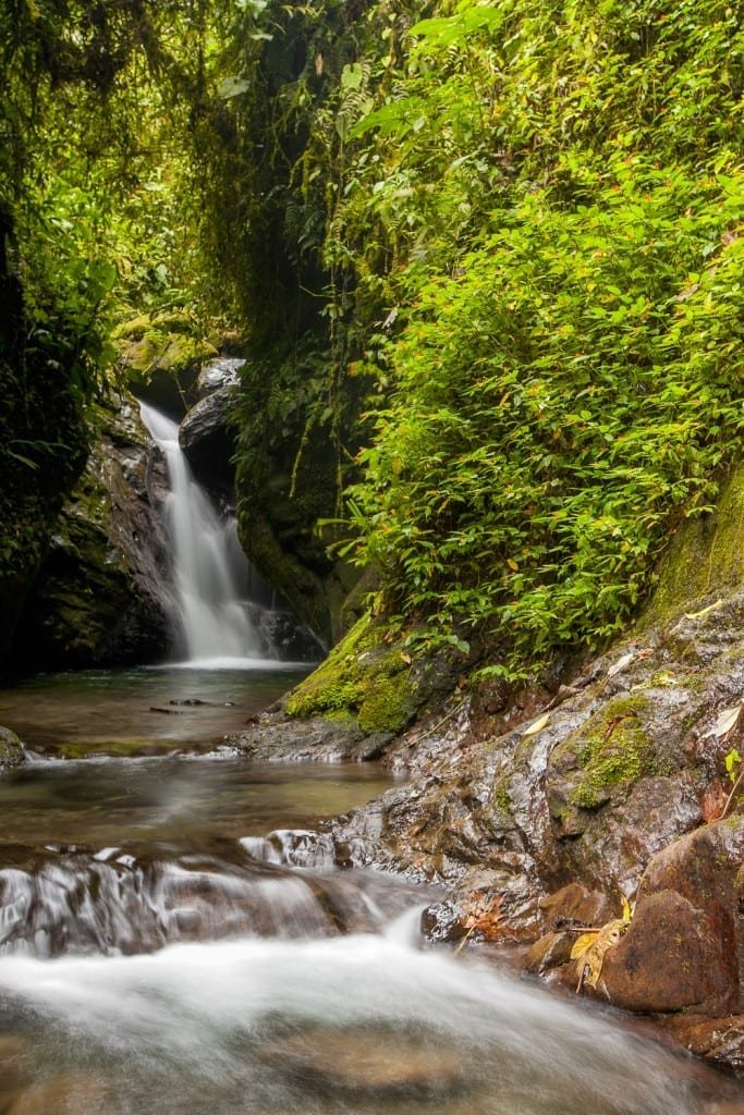 Private-Travel-Ecuador-Small-Waterfall Small waterfall in Mindo Cloud forest feeding a natural pool