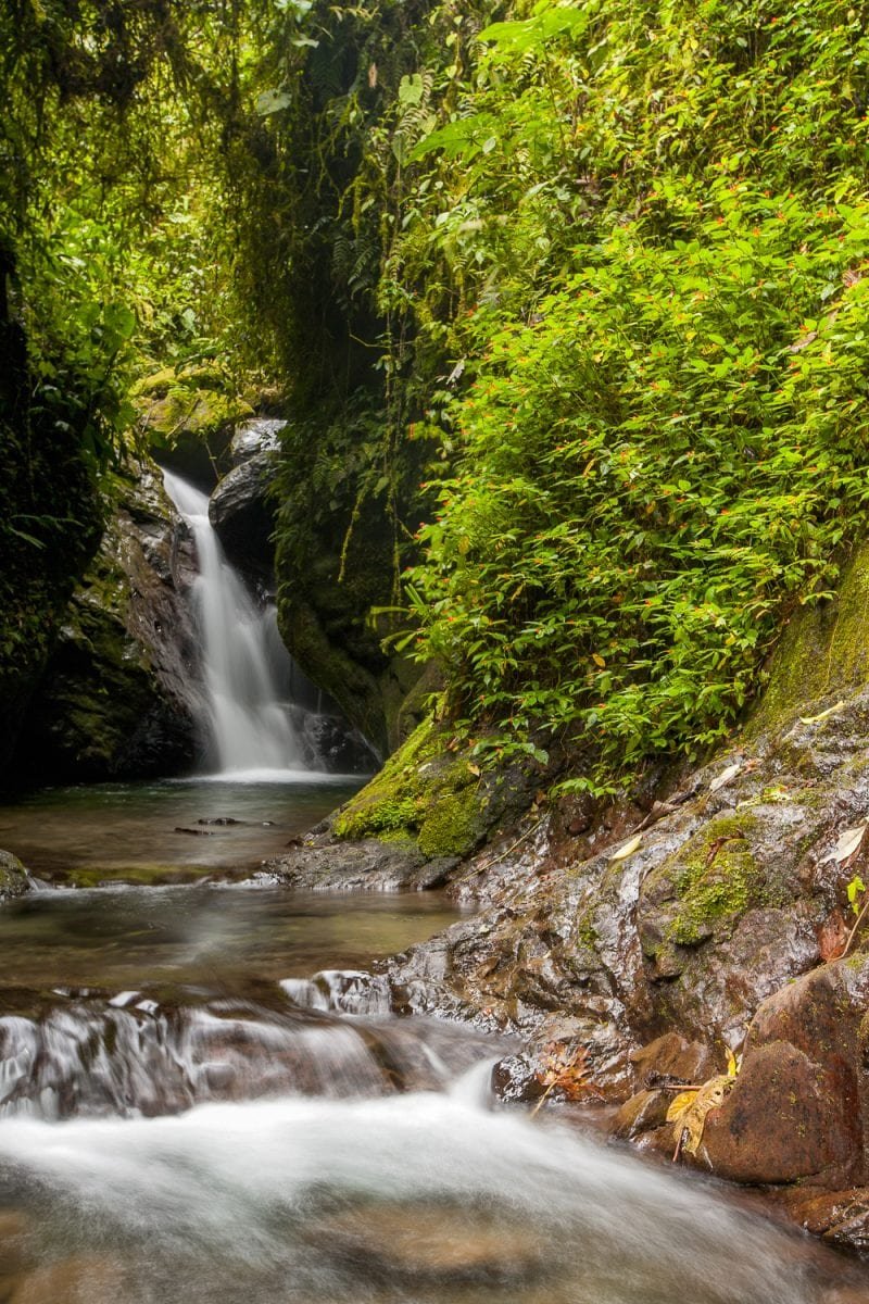 Private-Travel-Ecuador-Small-Waterfall Small waterfall in Mindo Cloud forest feeding a natural pool