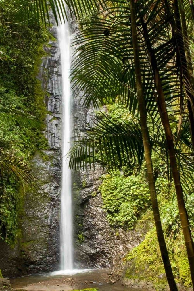 Private-Travel-Custom-Travel-Ecuador-Waterfall-Thin Tall, thin waterfall pouring down steep green rock face in Ecuador's Amazon basin