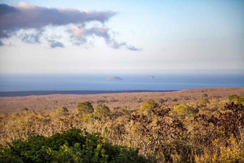 Private-Travel-Custom-Travel-Galapagos-Vacation-Safari-Camp-View Private-Travel-Custom-Travel-Galapagos-Vacation-Safari-Camp-View