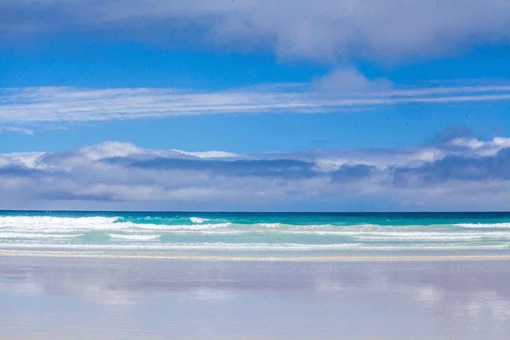 Private-Travel-Custom-Travel-Galapagos-Vacation-Tortuga-Bay-3 Gorgeous clear blue sky over perfect white sand beach of Tortuga Bay in the Galapagos Islands