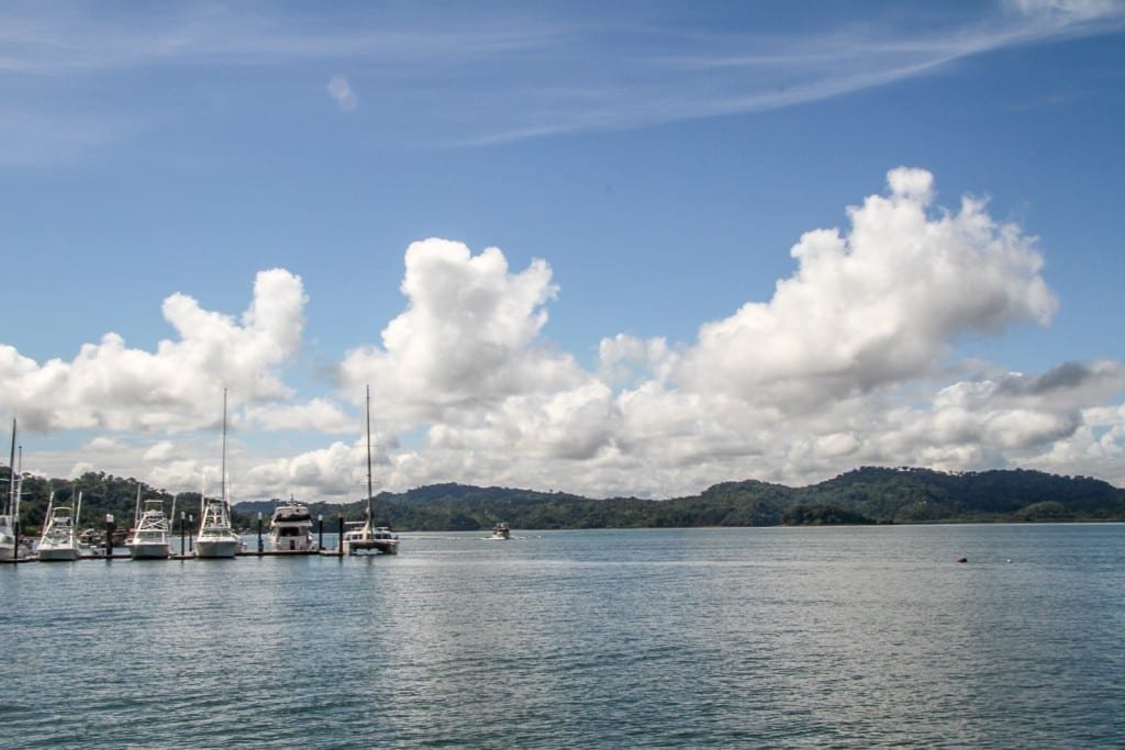 Private-Travel-Design-Golfito-Dock Row of white charter boats moored at a dock in Golfito Costa Rica