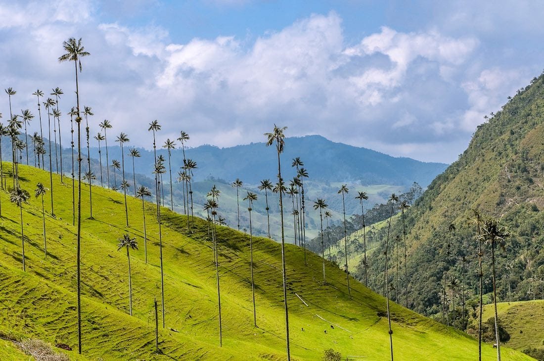 Coffee-Triangle-Colombia-Landed-Travel-Private-Travel