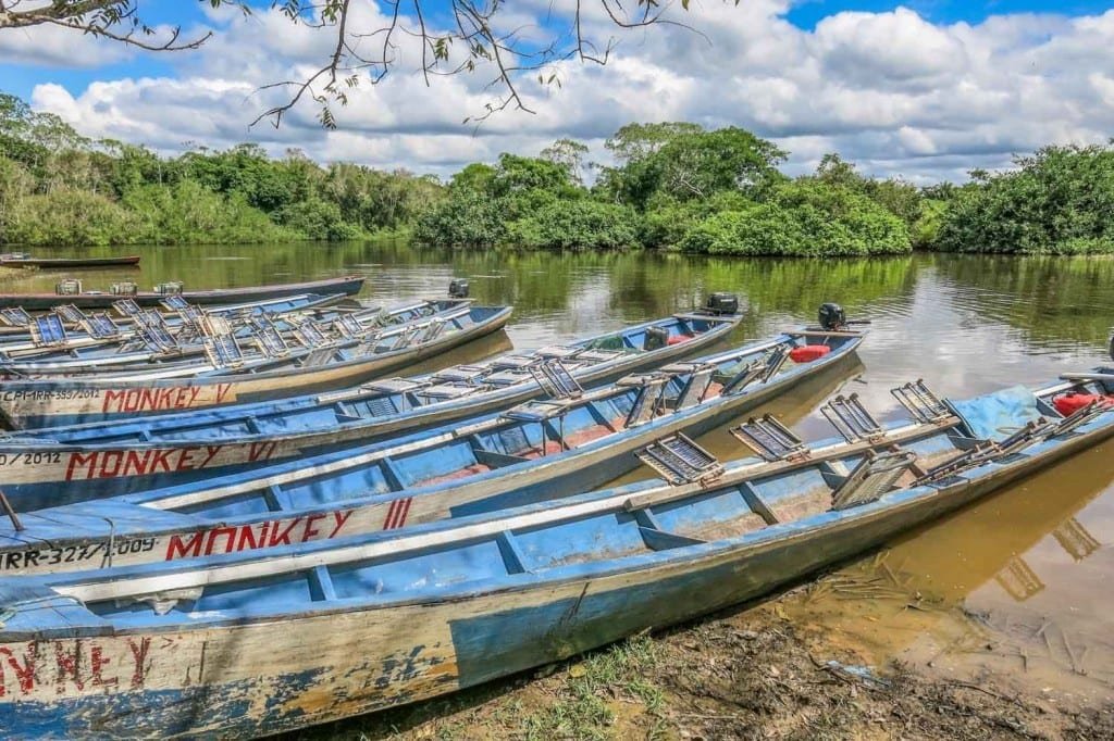 Landed-Travel-Private-Travel-Boats-Madidi-4-Bolivia row of boats lined up across the Madidi river