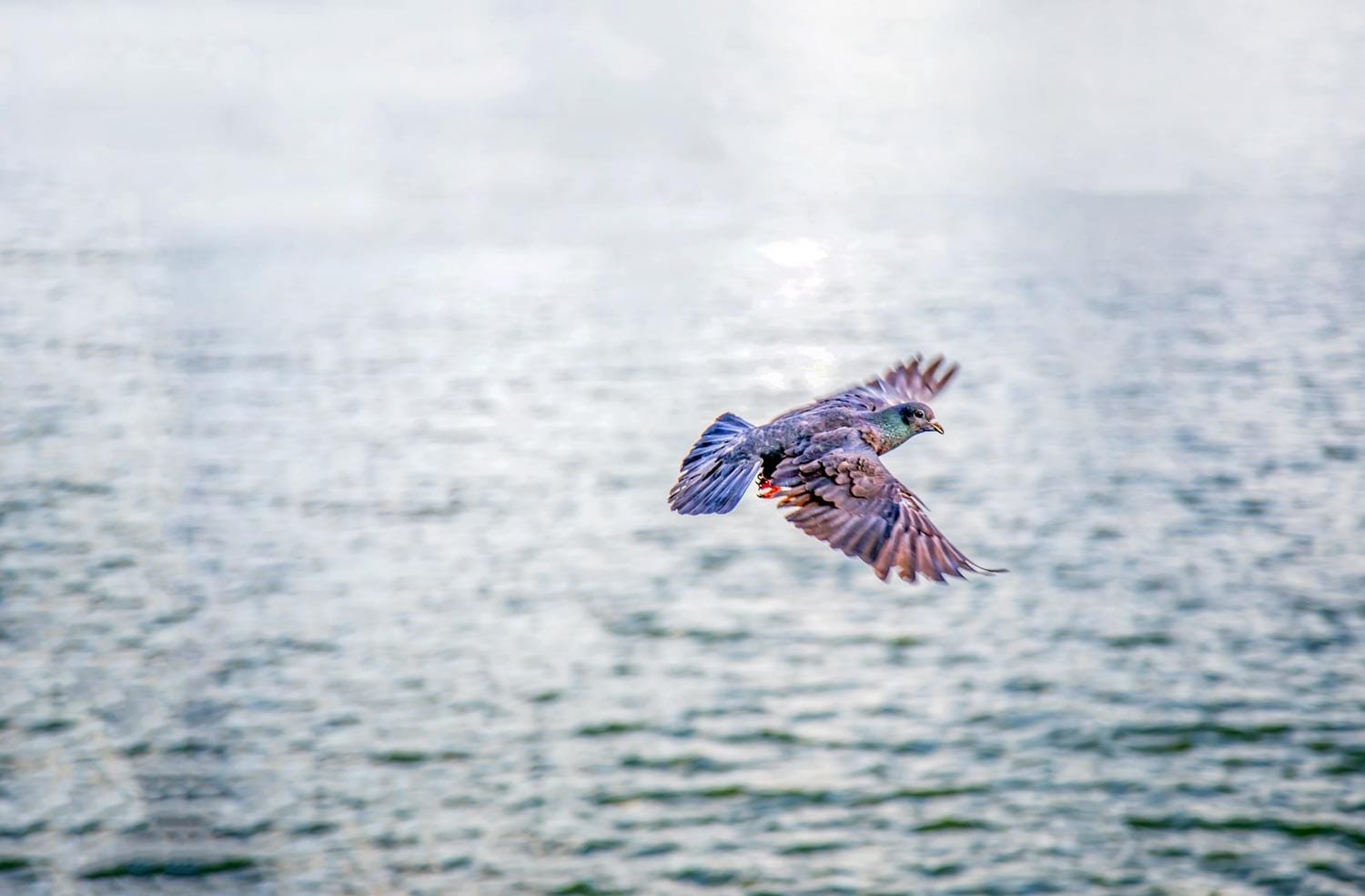 Landed-Travel-Private-Travel-Fly-Fishing-Rio-Gallegos-Dove-Patagonia-Argentina Landed-Travel-Private-Travel-Fly-Fishing-Rio-Gallegos-Dove-Patagonia-Argentina