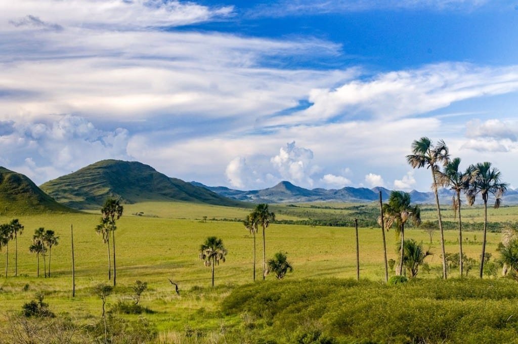 Private-Custom-Travel-Design-Brazil-Chapada-dos-Veadeiros Grassy green field trees, mountains Chapada dos Veaderios Brasilia Brazil