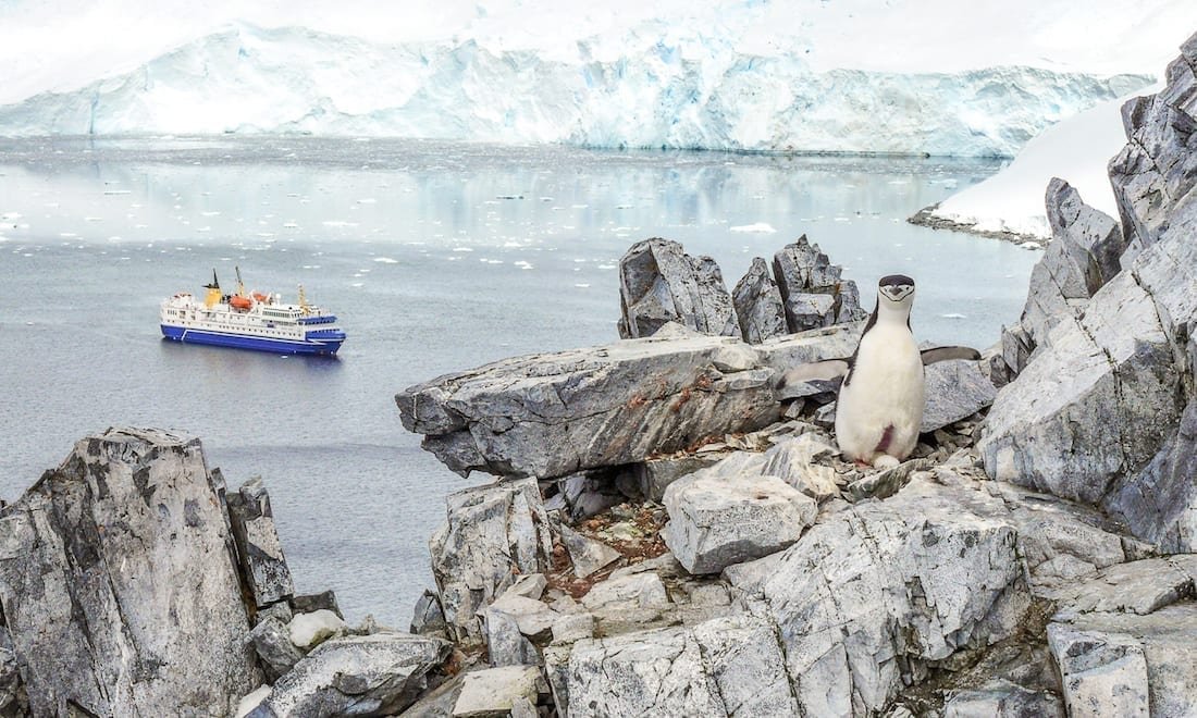 Antarctica-Cruise-Custom-Travel-Design-Ocean-Nova-8 Penguin on a rocky shore in Antarctica overlooking large blue and white Antarctic cruise ship backed by large white Glacier