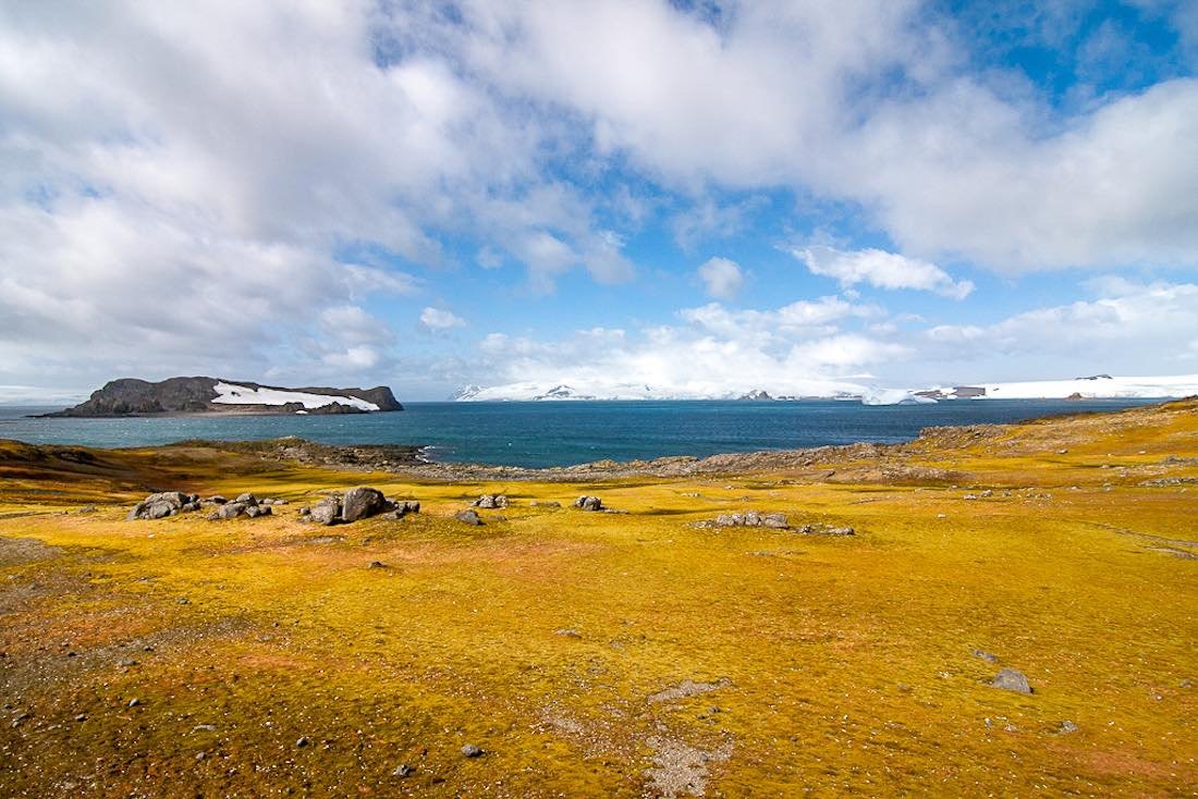 Antarctica-cruise-Antarctic-Peninsula Antarctica-Private-Custom-Travel-Design-Cruise-Antarctica21-6
