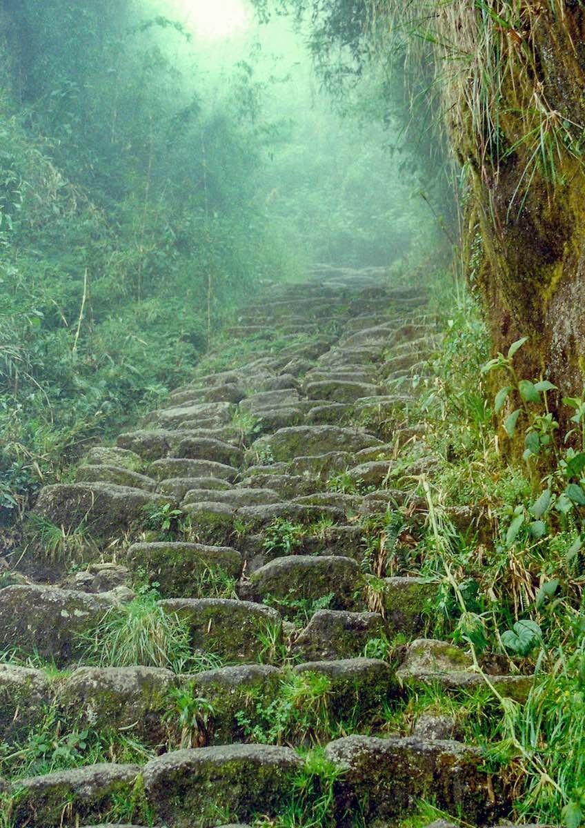 Peru-Inca-Trail-Private-Custom-Trek-to-Machu-Picchu-3 Moss covered staircase leading up through a misty forest in Peru near the Inca Trail