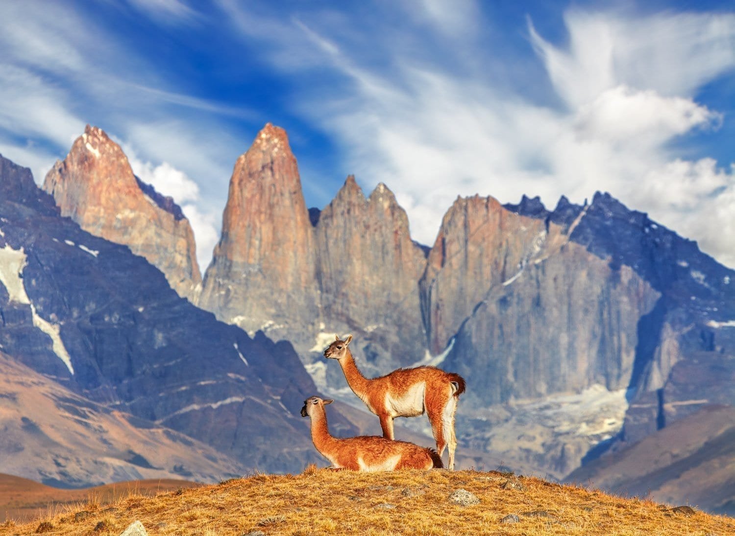 Custom-Travel-Vacation-Travel-Guanaco-Hill-Torres Custom-Travel-Vacation-Travel-Guanaco-Hill-Torres