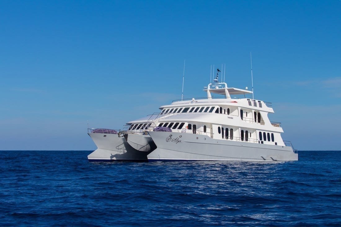 alya-galapagos-catamaran-2 Large white Galapagos charter catamaran Alya in the deep blue ocean of the Galapagos archipelago