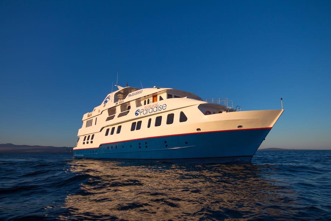 galapagos-natural-paradise-cruise Blue and white Galapagos yacht charter natural paradise