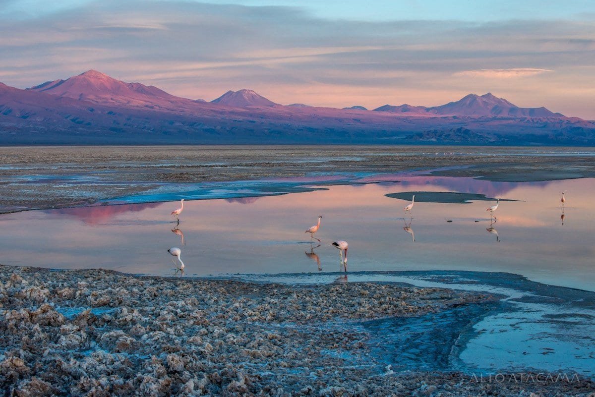 AA_Excursions_SalardeAtacama