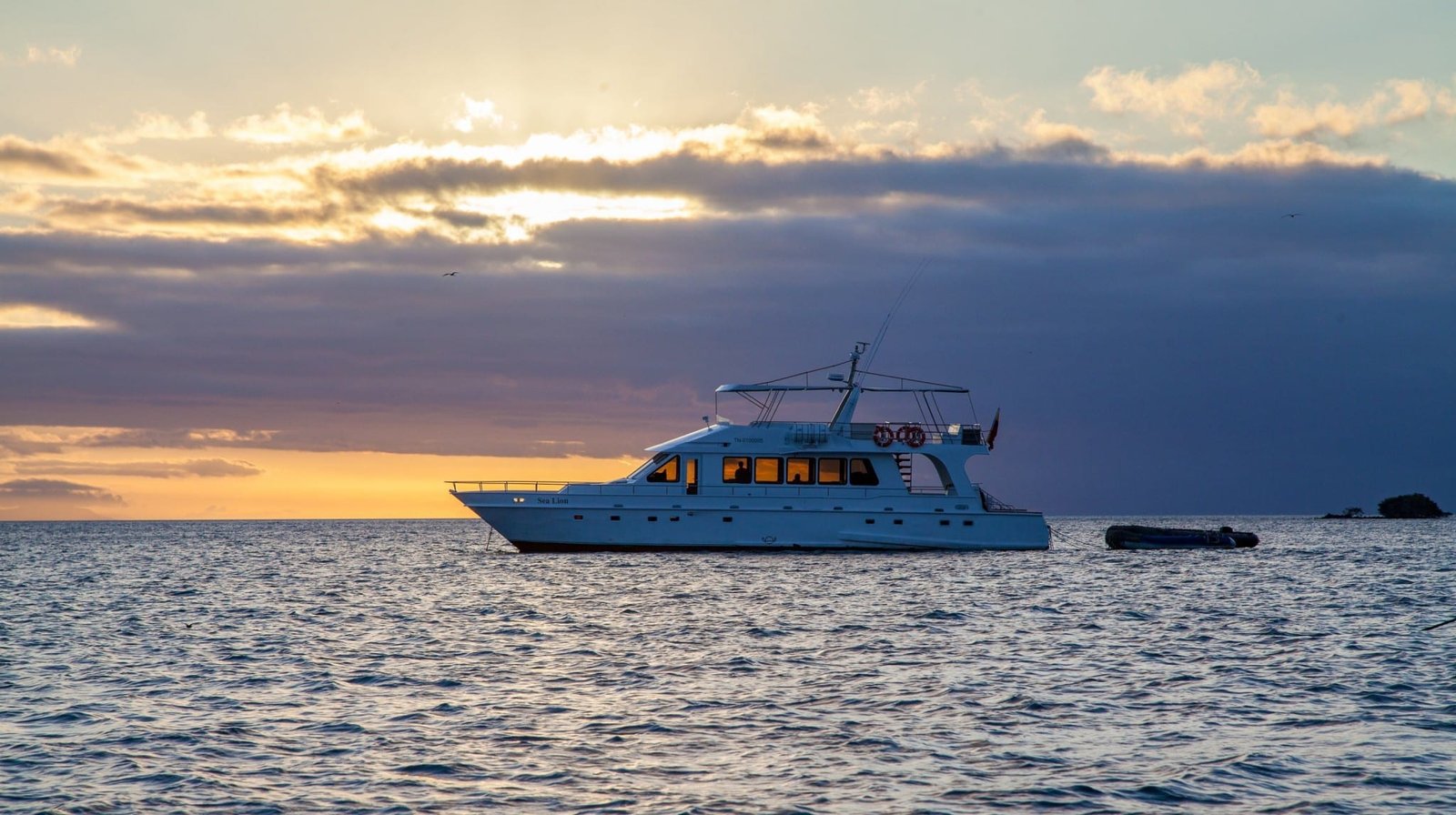 Galapagos-Sea-Lion-Charter-1