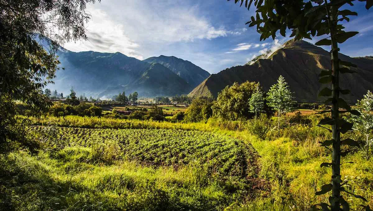 Valley view