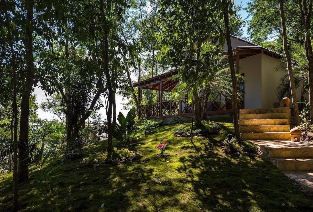 Rainforest Junior Suite