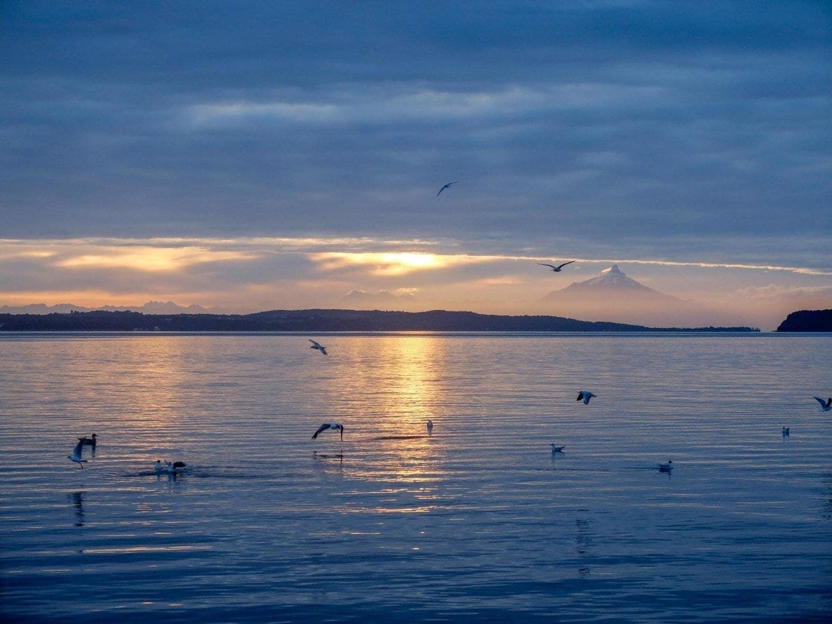 Private-Travel-Pumalin-Douglas-Tompkins-National-Park-Chile Sunrise over a flock of birds on the lake at Pumalin Douglas Tompkins National Park in Chilean Patagonia