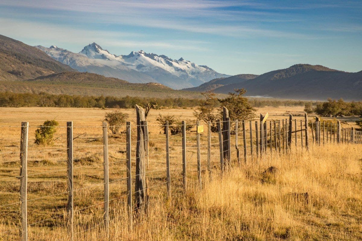 Landed-Travel-Chile-Aysen-72 Long barbed wire fence line running through a golden pasture with the Andes mountains of Patagonia in the distance