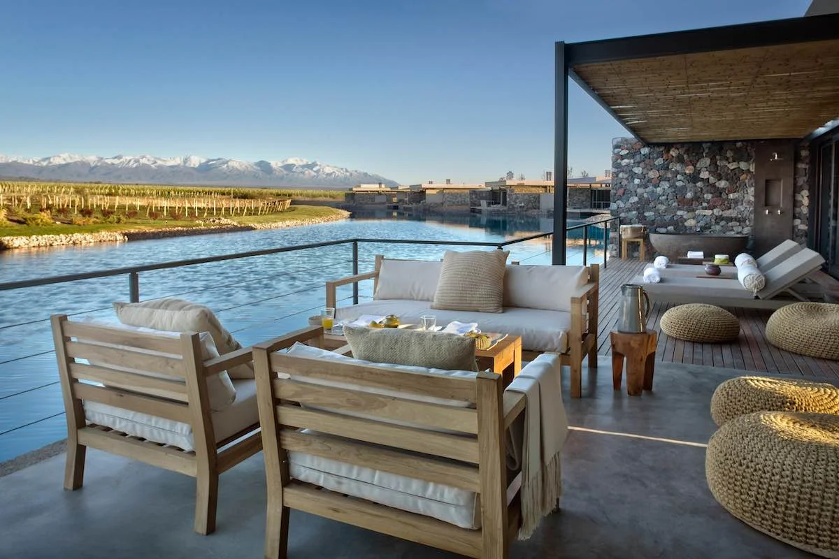 The Vines Of Mendoza